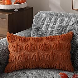 DFXSZ Fall Pillow Covers 12x20 Set of 2 Fall