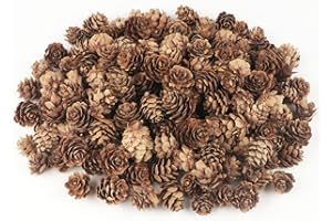 Jangostor 120 PCS Pine Cones Decorations, Natural Pine Cones Bulk - Mini Pine Cones Christmas Pine Cones for Table Christmas Tree Crafts Gifts Thanksgiving Fall and Xmas Home Decor