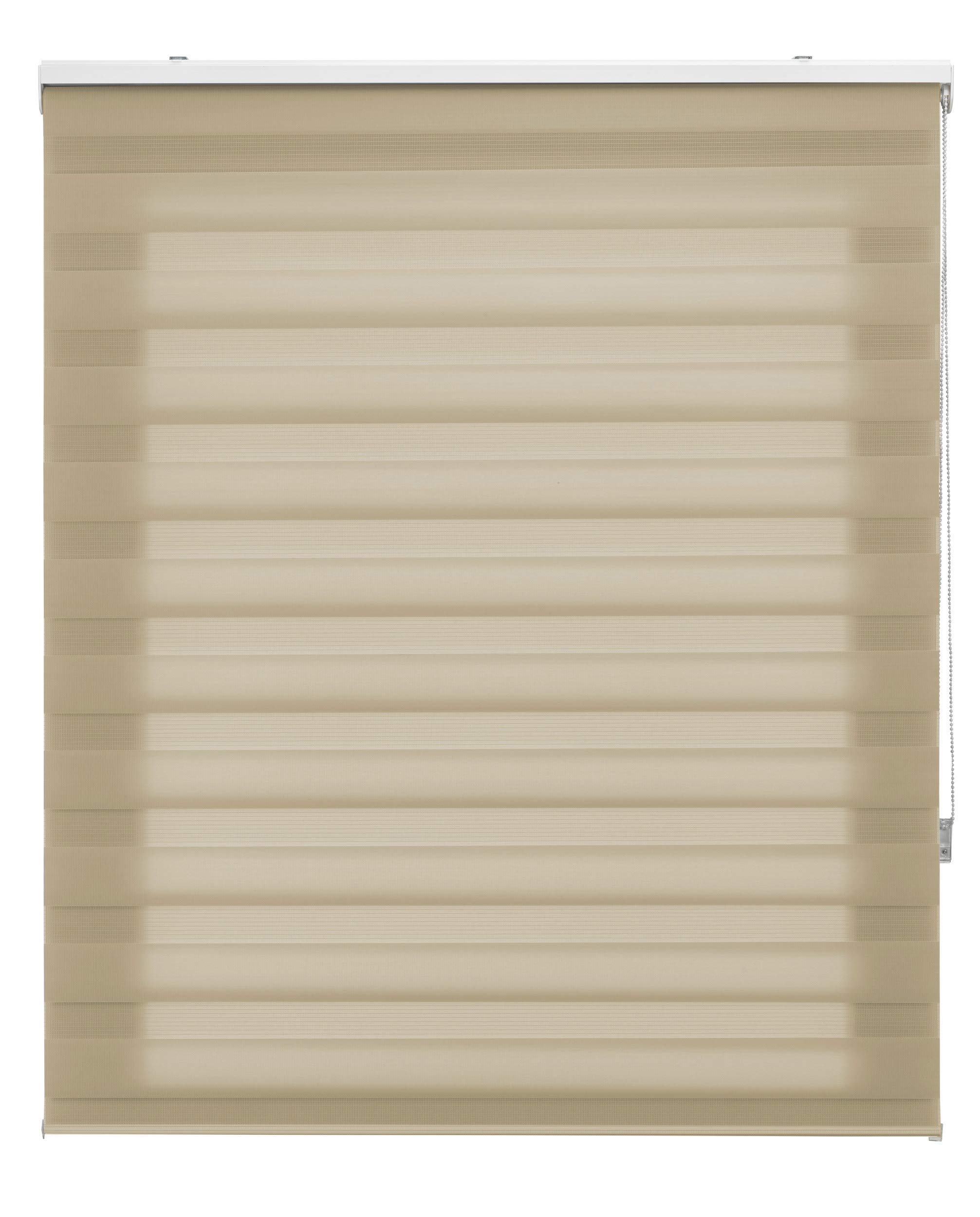 Blindecor | Night and Day Roller Blind Customised | Double Layer | Beige | 65 x 250 cm (W x H) Fabric Size 62 x 245 cm | Window Blinds