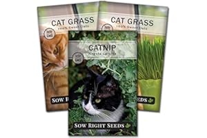 Sow Right Seeds - Catnip and Cat Grass Seed Collection for Planting Indoors or Outdoors - Includes Popular Herb Catnip and Cat Grass (100% Sweet Oat) - Non-GMO Heirloom Packet - Pet Friendly