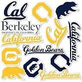Desert Cactus UC Berkeley Golden Bears Vinyl Decal Sticker | Officially Licensed, Laptop Water Bottle Car