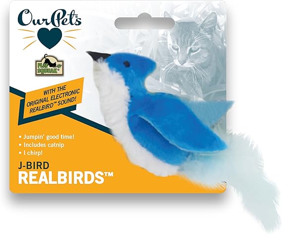 squeaky bird cat toy