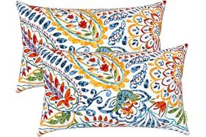 LVTXIII Set of 2 Patio Lumbar Pillows, 12”x20” Fade Resistant Outdoor Lumbar Pillow with Inners, Fluffy Decorative Garden Lumbar Cushions for Home Patio Coach Sofa Use, Paisley Multi