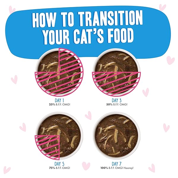 WERUVA B.F.F. OMG – BEST FELINE FRIEND OH MY GRAVY! TUNA & CHICKEN CHARM ME WITH TUNA & CHICKEN IN GRAVY CAT FOOD, 3OZ POUCH (PACK OF 12)