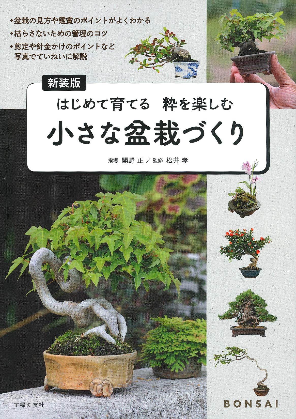 新装版 小さな盆栽づくり 正 関野 孝 松井 本 通販 Amazon
