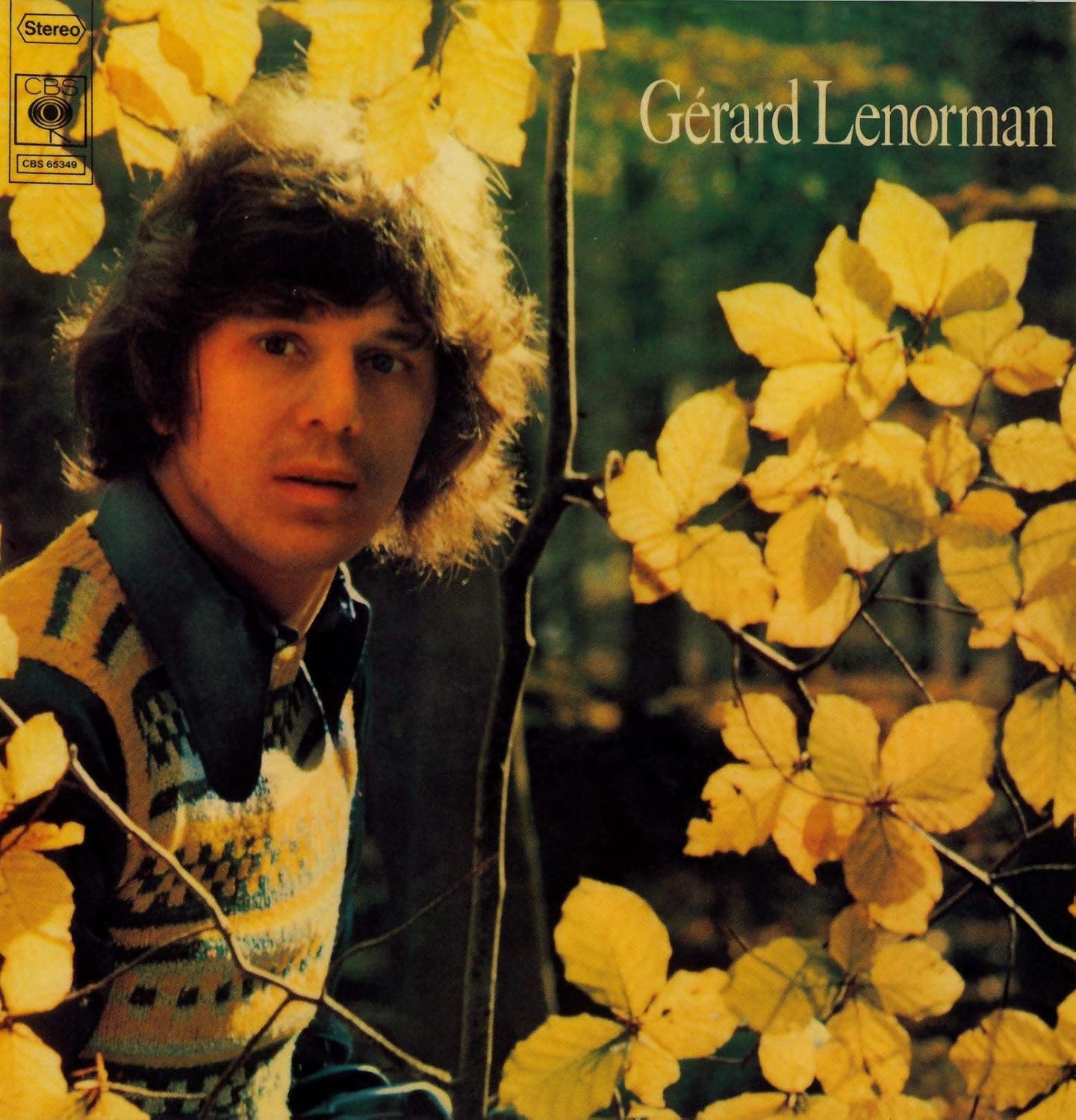Les Matins d' Hiver Gérard Lenorman, Gérard Lenorman Amazon.fr CD et Vinyles}