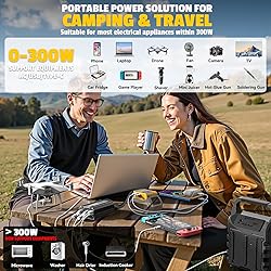 2PCS 300W Battery Charger Compatible with