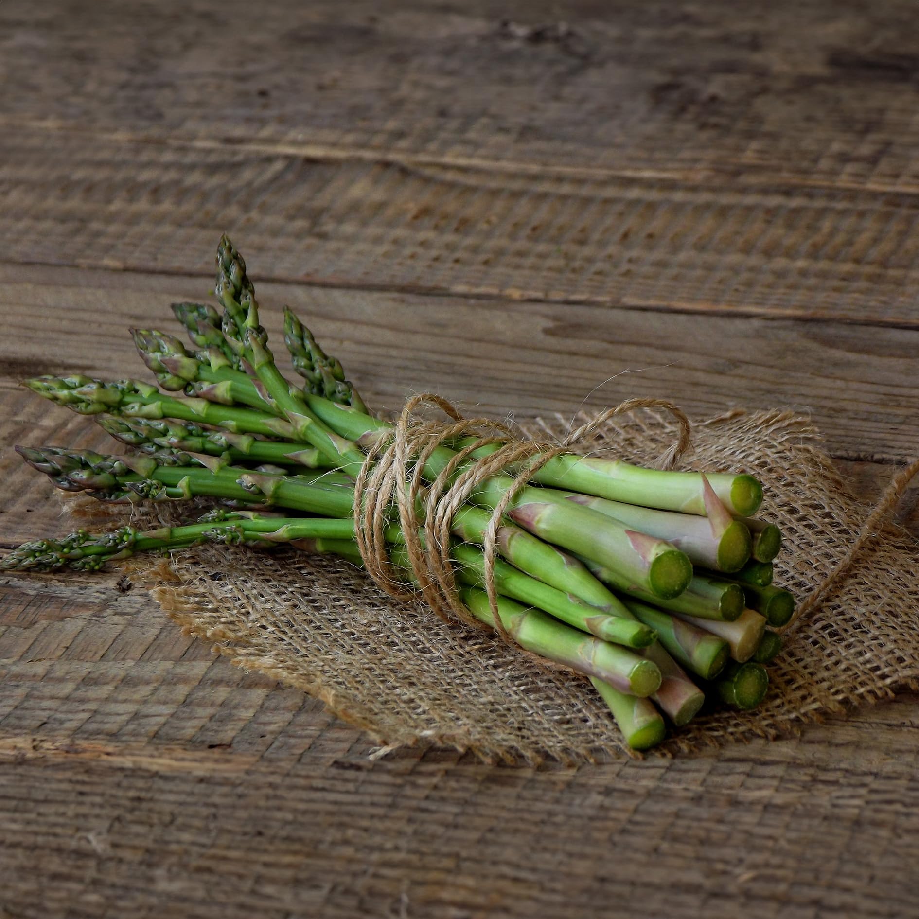PREMIER SEEDS DIRECT - Asparagus - Mary Washington - 150 Seeds