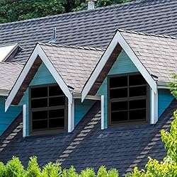 2 Pack 24" x 27" Black Shed Window with Tempered