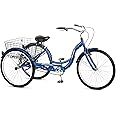Schwinn Meridian