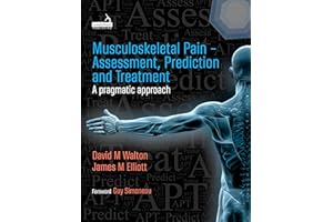 Musculoskeletal Pain - Assessment, Prediction and Treatment