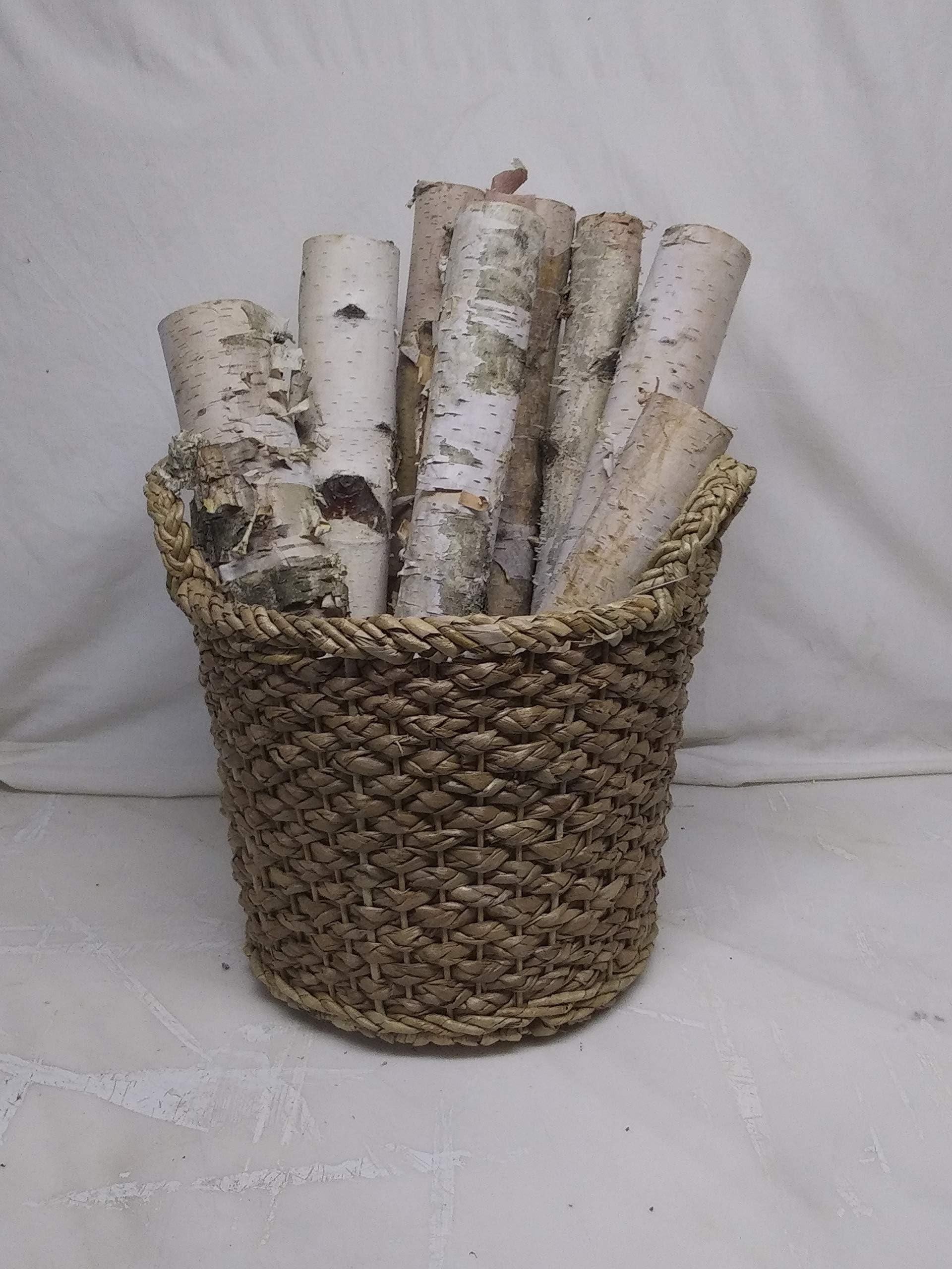 Birch Bundle of Logs by Wilson Evergreens