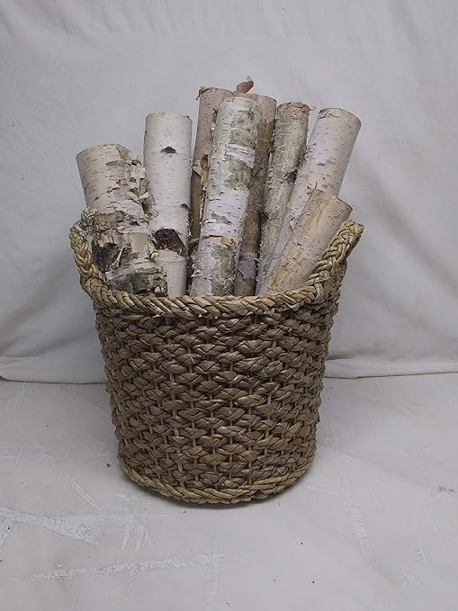 Amazon Com Birch Bundle Of Logs By Wilson Evergreens Home Kitchen