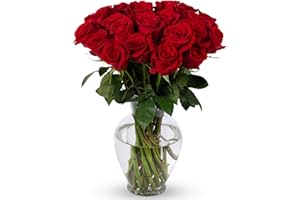 Benchmark Bouquets - 24 Stem Premium Red Roses (Glass Vase Included) - Fresh Flowers for Next Day Delivery - Gift for Birthday, Anniversary, Get Well, Sympathy, Congratulations