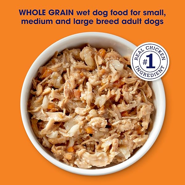 NATURE’S RECIPE WET DOG FOOD, CHICKEN IN BROTH RECIPE, 2.75 OUNCE CUP (PACK OF 12) PACKAGE MAY VARY