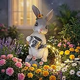 IDEA SHOW Solar Rabbit Garden Statues Outdoor Decor, Resin Rabbit Figurine Decorations with Solar Light, Whimsical Bunny Sculpture for Patio, Balcony, Yard, Lawn Ornament, Perfect Garden Gift