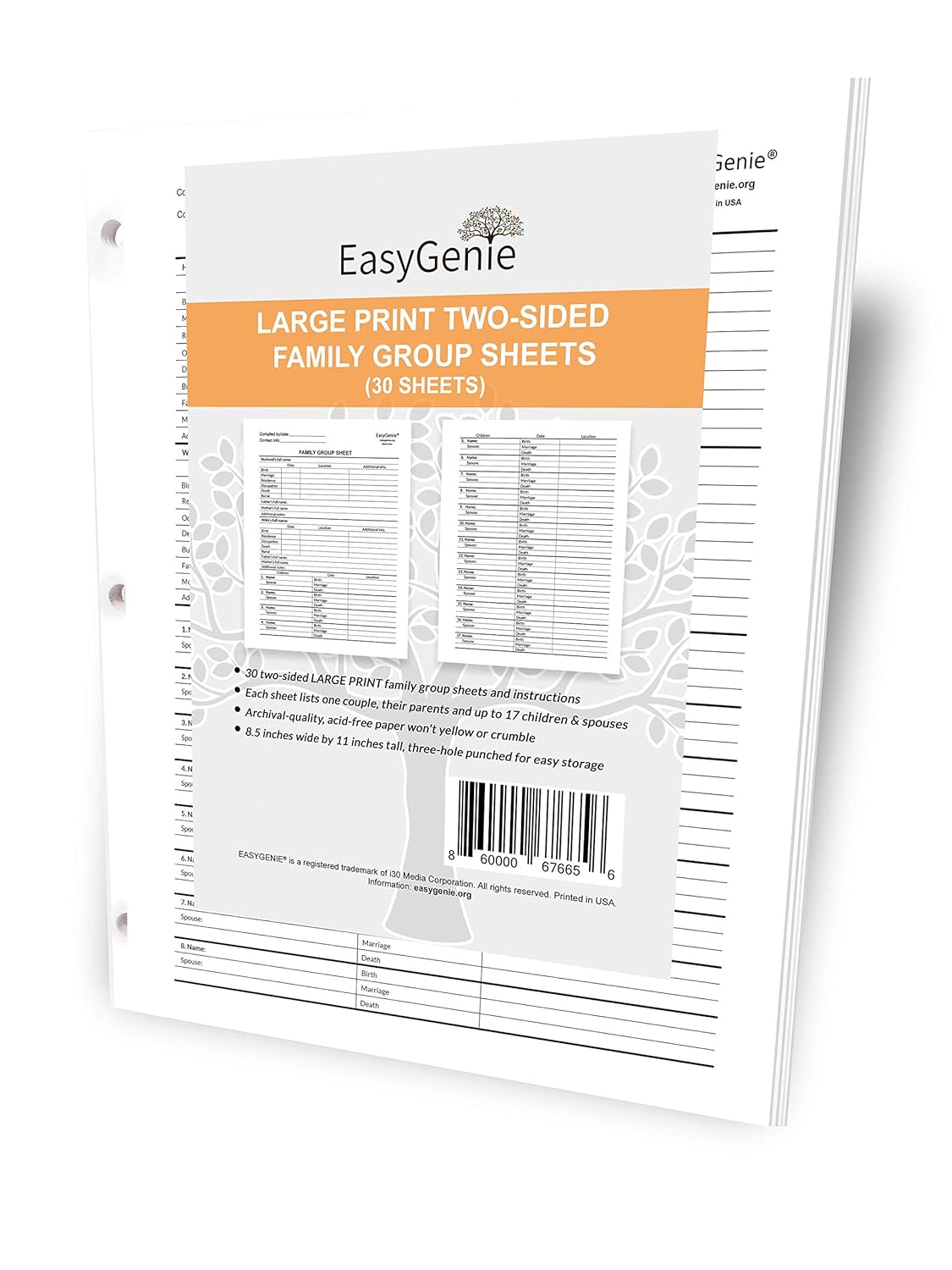 Which Is The Best Easy Genie Fan Family Chart 4 Generations