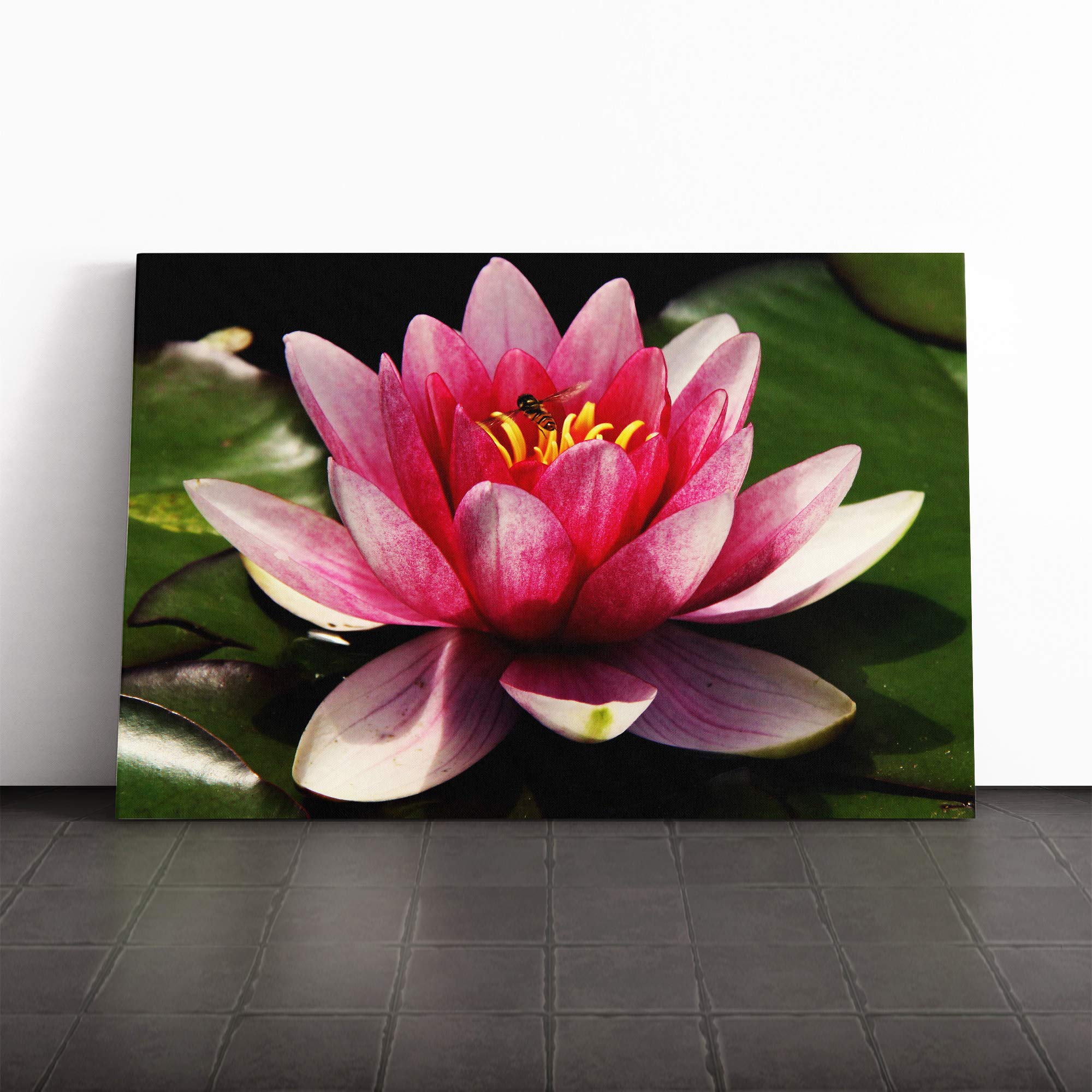 Flower Pink Water Lily (4) Canvas Print | Gallery Wrapped 30mm Frame Wall Art | 20x14 inches | Ready to Hang | Modern Floral Picture | Living Room Bedroom Lounge Office