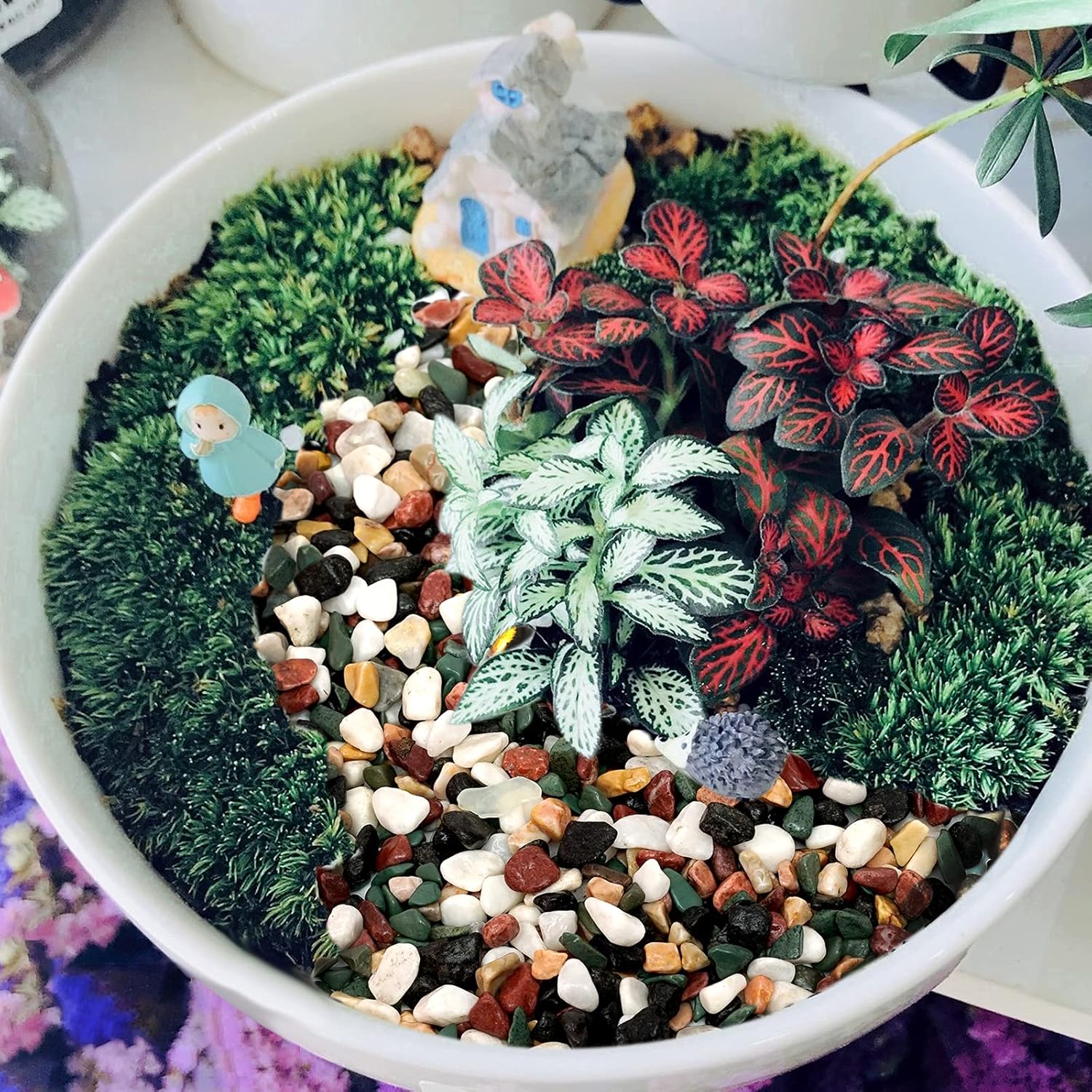 2.7 lb Mixed Five Color Decorative Rocks Stones Pebbles-Garden Ornamental Gravel for Potted Plants, Succulent, Cactus Bonsai, DIY, Vase Fillers, Pumice, Aquarium, Terrarium, Fairy Gardening, Top Dressing. : Garden & Outdoor