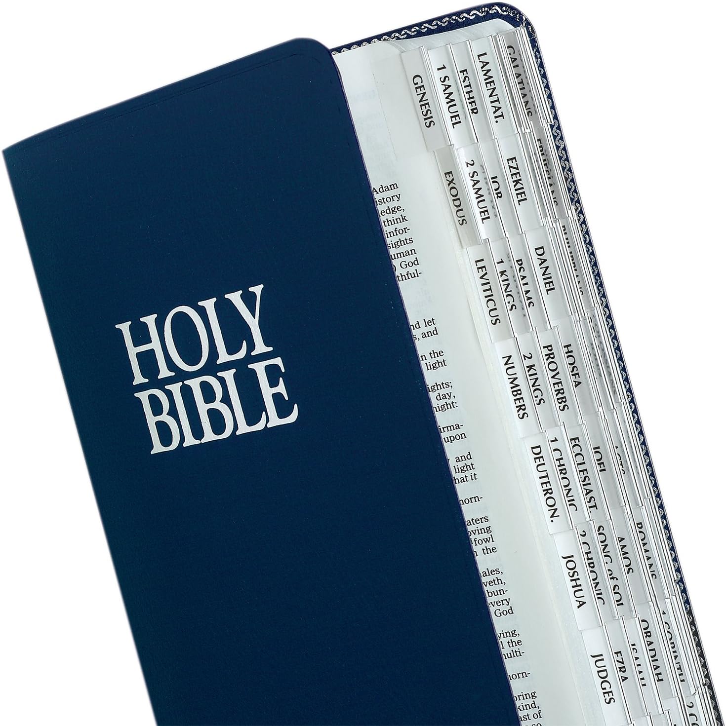 Tabbies Silver-Edged Bible Indexing Tabs, Old & New Testament, 80 Tabs Including 64 Books & 16 Reference Tabs (58339), Silver-Edge (80 Tabs) : Office Products