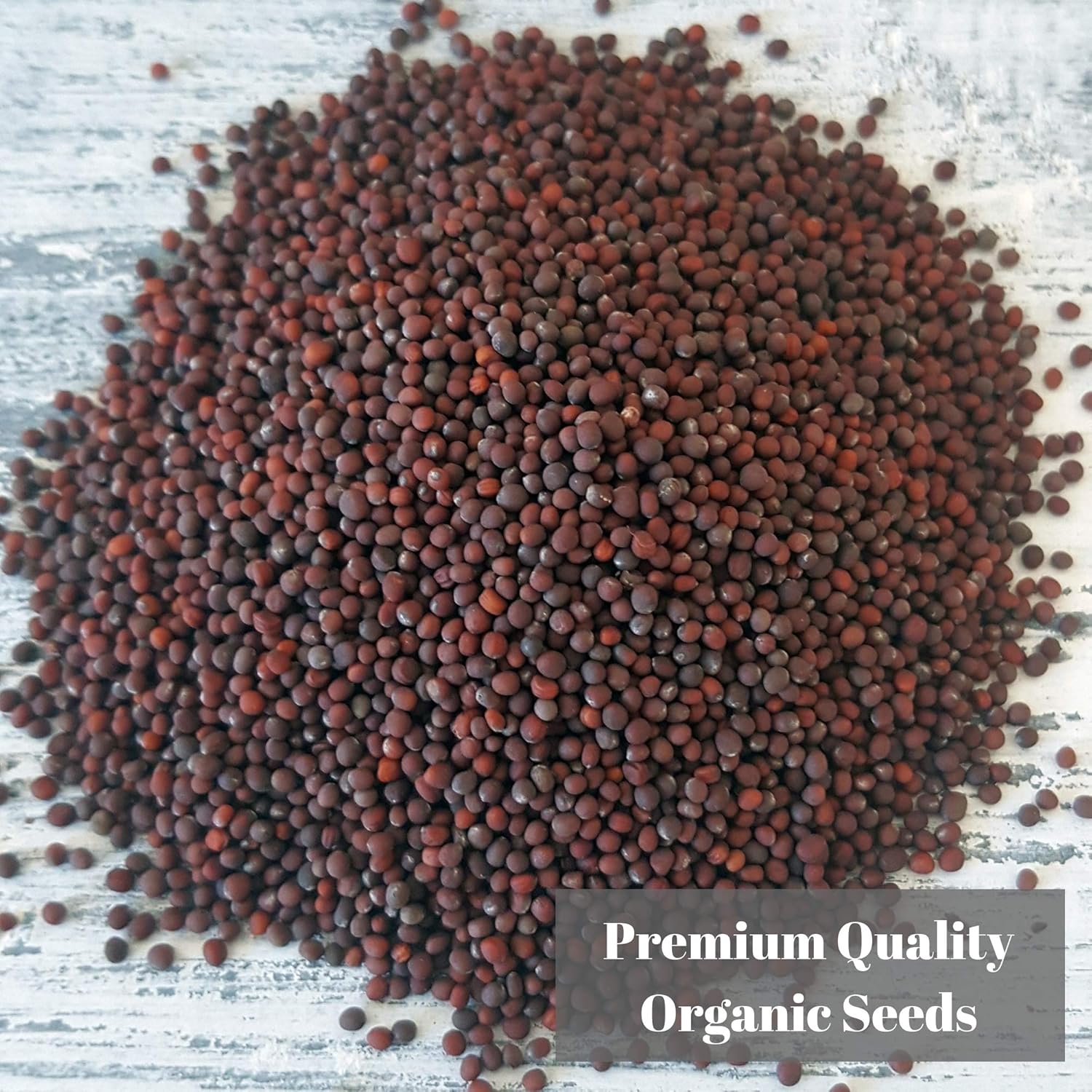 Verdant Republic Organic Broccoli RAAB Sprouting Microgreen Seeds 1kg, Brown - Image 3