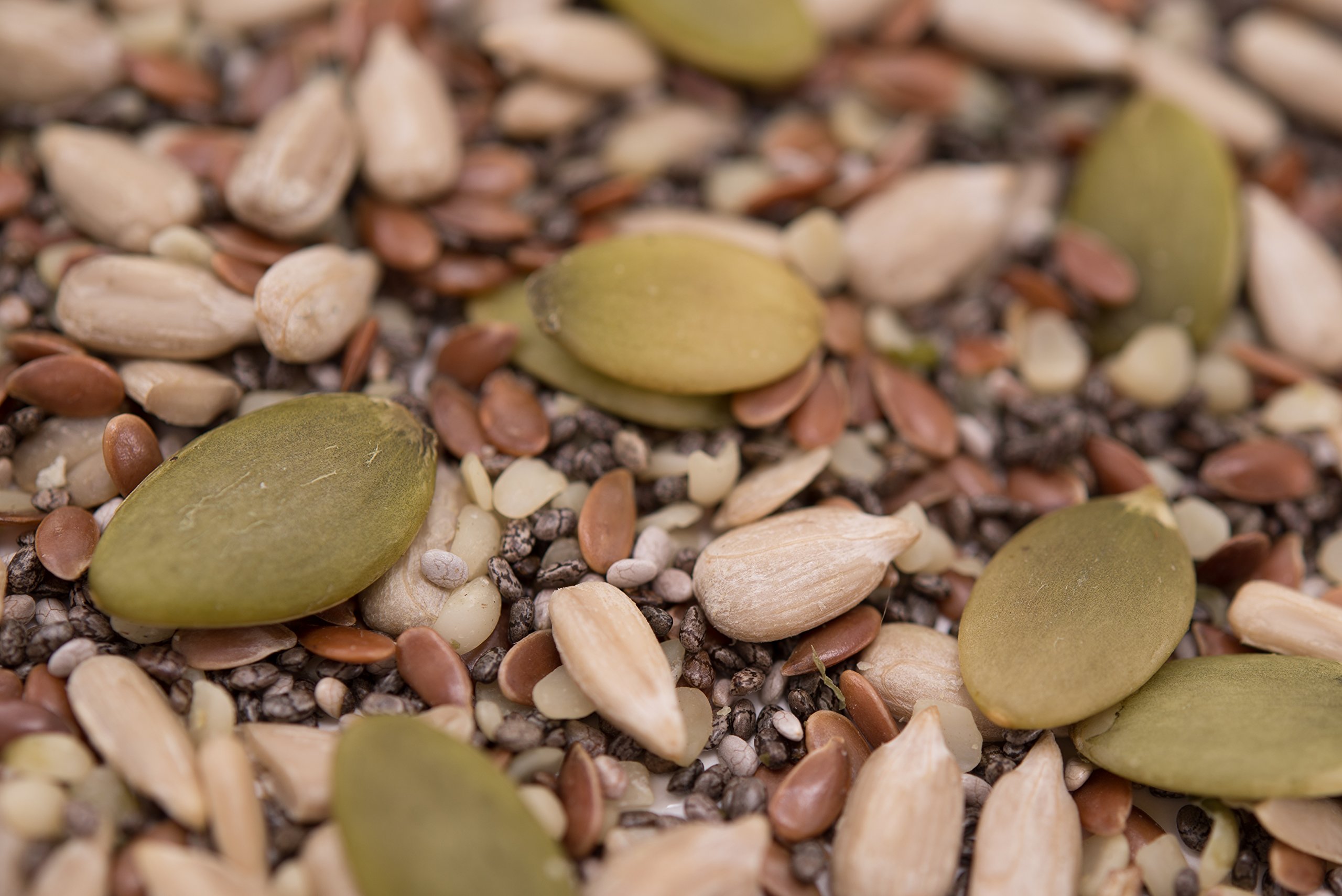 Pumpkin, Sunflower, Chia, Flax, Hemp Seed Raw Mix by Gerbs 2LBS Top