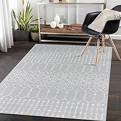 Lahome Moroccan Washable Living Room Area Rug - 3x5