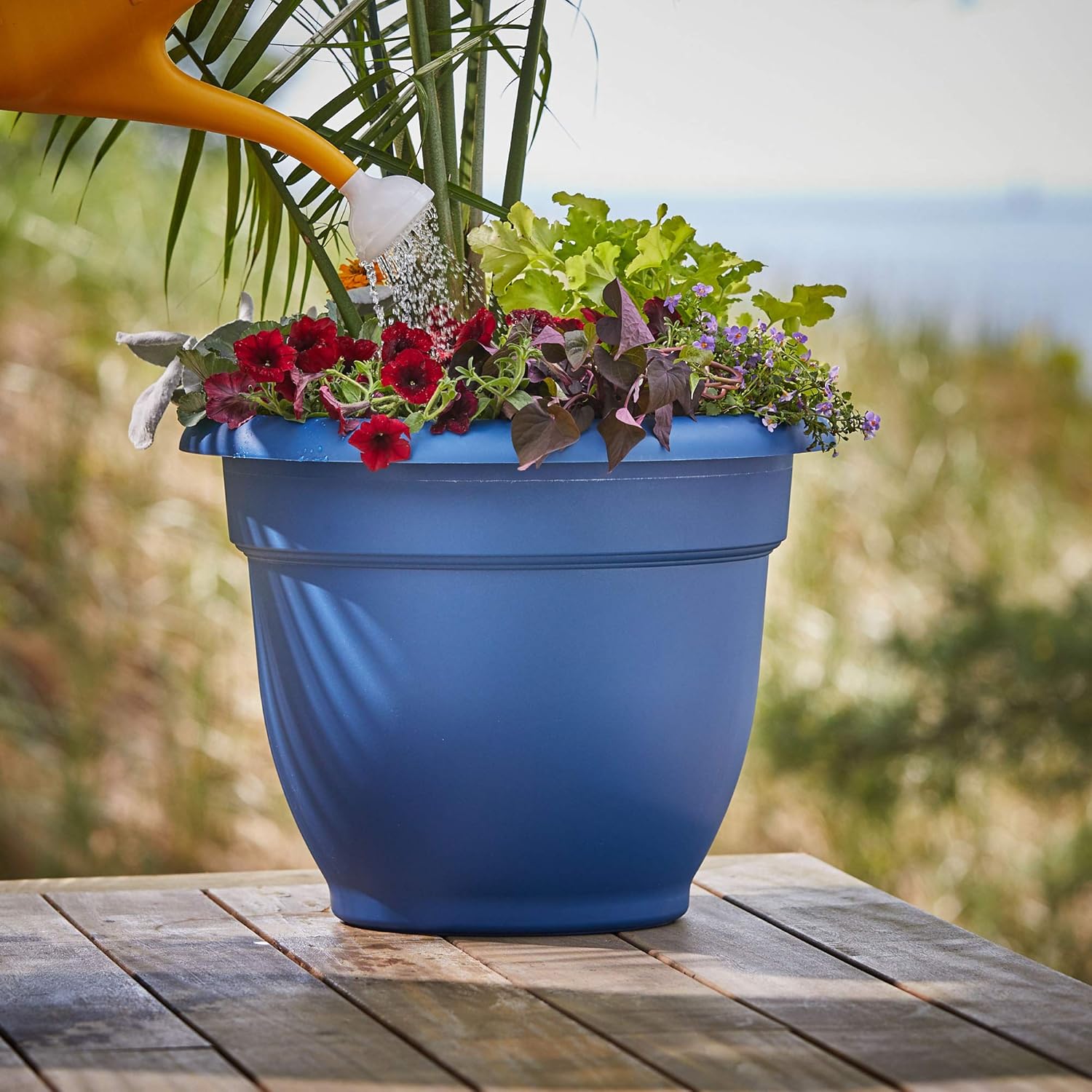 Bloem Classic JW Watering Can, 2 Gallon, Deep Sea (JW82-31), Deep Sea Blue : Garden & Outdoor