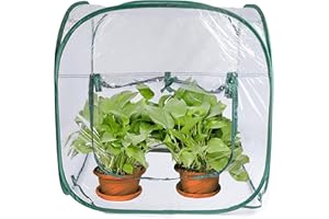 GROW GENIUS Medium Pop Up Greenhouse, Versatile Greenhouses for Outdoors or Indoor Greenhouse.