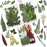 Cinvo 63 Pcs Real Dried Leaves Assorted 21 Styles for Crafts Resin Jewelry Nail