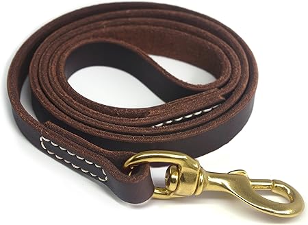 amazon leather leash