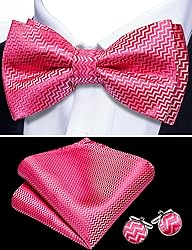 Barry.Wang Pink Bow Ties for Men Pre-tied Bow Tie
