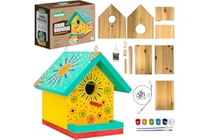 SparkJump Jr Bird House Kit, DIY Cedar Wood Birdhouse for Outdoors with Paint, Fun for Kids & Adults, Bird House Making Kit for All Ages (1-Pack)
