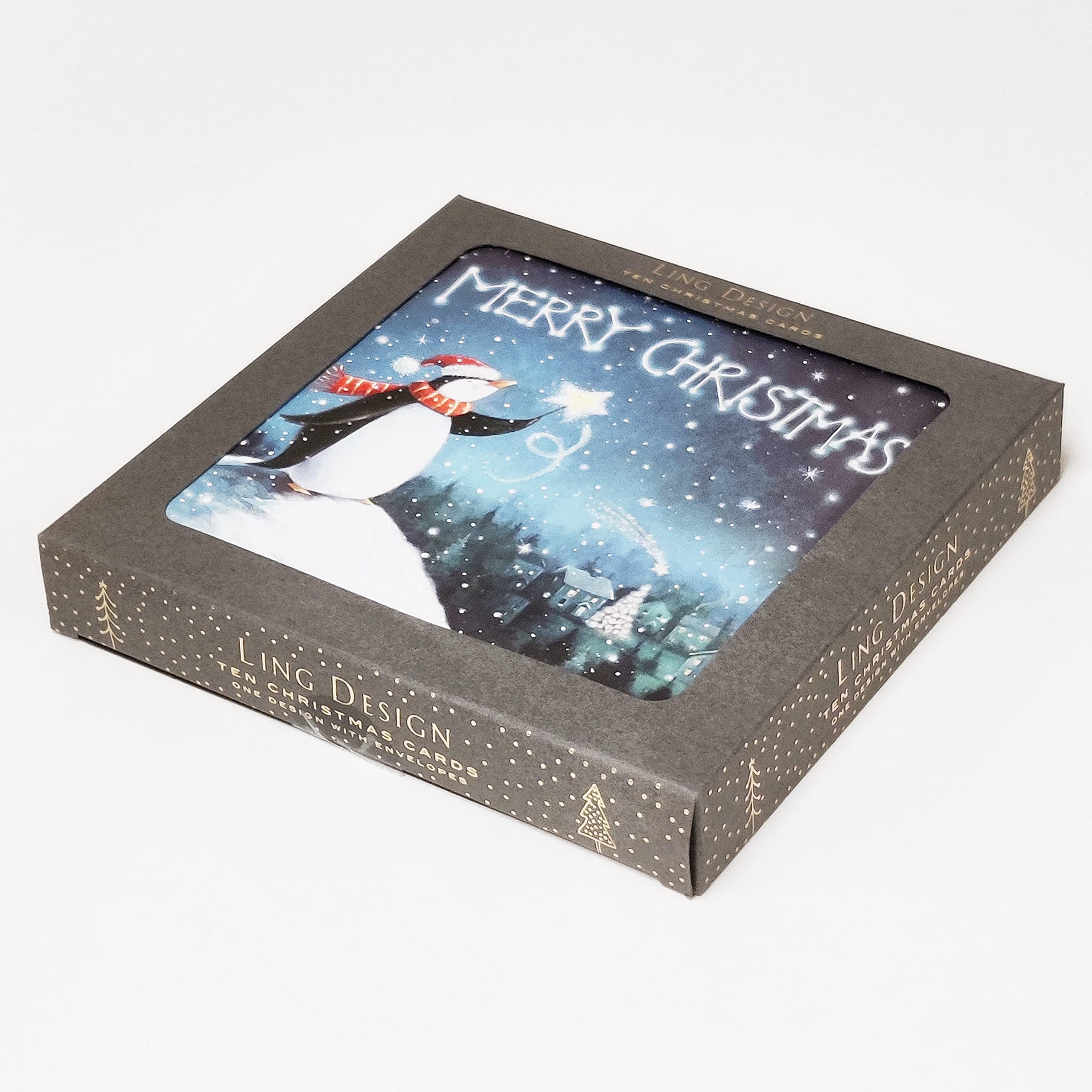 Box of 10 Christmas Cards - Magical Penguin