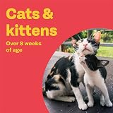 Bob Martin Clear Spot On Flea Treatment for Cats & Kittens 3 Pipettes view 4