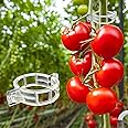 Dalzom® 300Pcs Tomato Clips, Plastic Trellis Clips Plant Support Clips, Plant Clips for Support, Grape Vine, Tomato Vine, Vegetables Plants, Garden Clips to Grow Upright Makes Plants Healthier