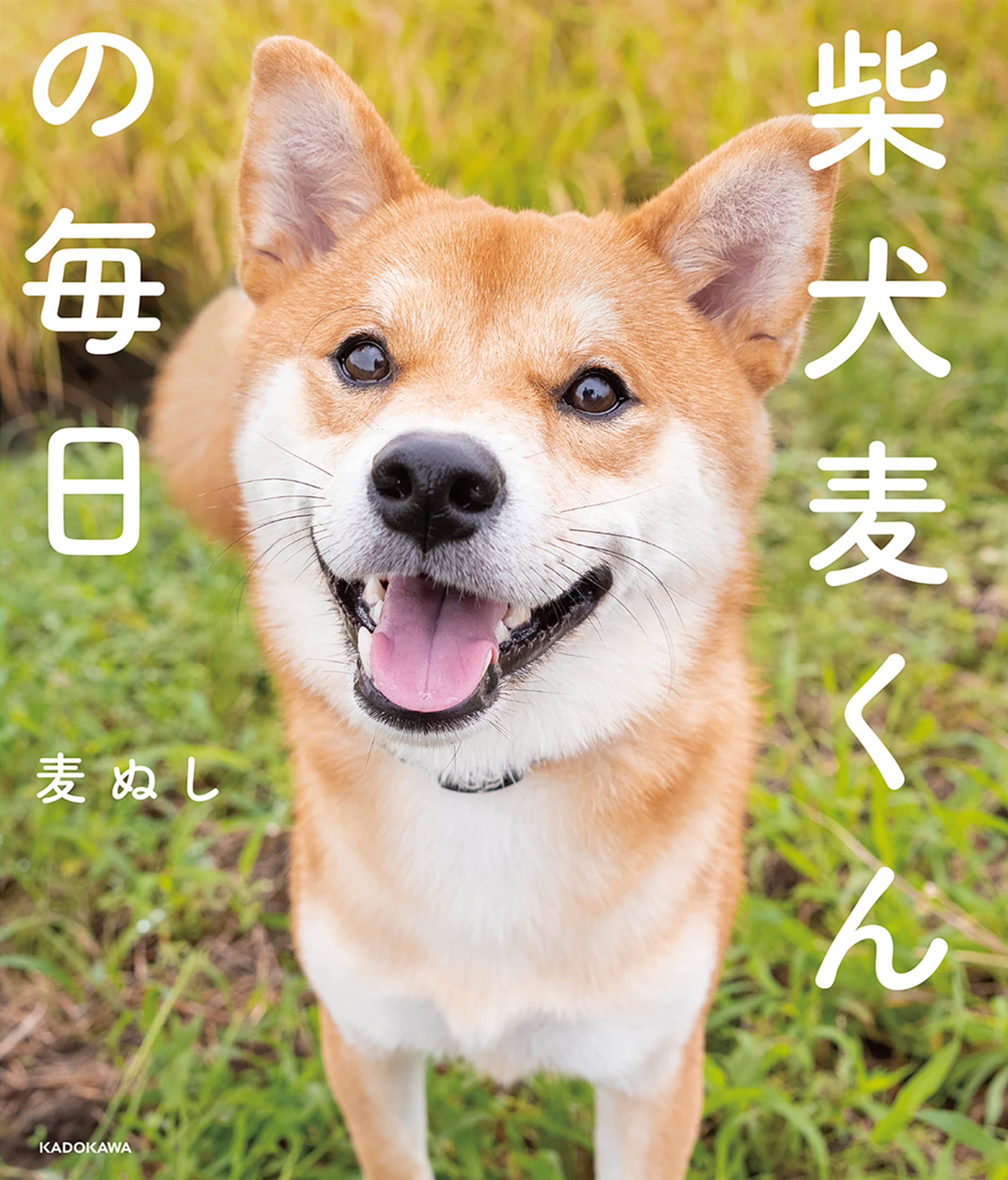 2yhdyhwxyt06lm