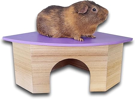 corner guinea pig cage