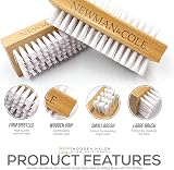 Newman and Cole Wooden Nail Brush Double-Sided, Box of 12 view 2