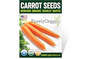 PURELY ORGANIC PRODUCTS LLC Organic Carrot Seeds (Scarlet Nantes) - Approx 1500 Seeds - USDA Organic, Non-GMO, Open Pollinated, Heirloom, USA Origin