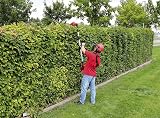Einhell 18V Power X-Change Cordless 2-in-1 Hedge Trimmer Chainsaw GE-HC 18 Li T view 5