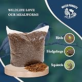 Walter’s Meal Worms (5L) Dried Mealworms for Wild Birds - Walter Products view 3