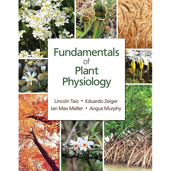 Plant Physiology and Development 第6版 Soil and Nutrient Uptake | Chapter 7- Plant Physiology and