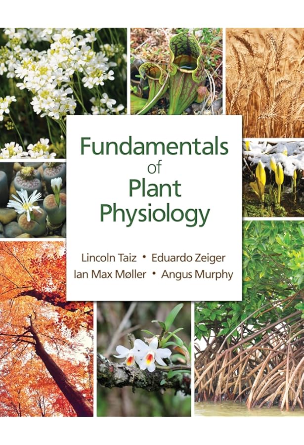Amazon.com: Plant Physiology and Development: 9780197577240: Taiz