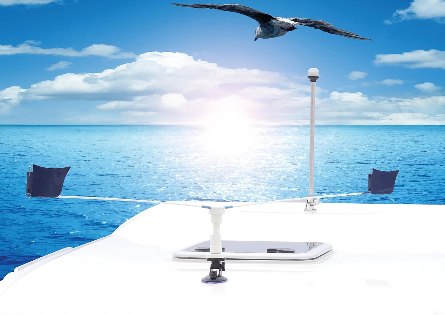 Stop Gull SG AIR Air Seagull Deterrent Device Amazon.ca Automotive