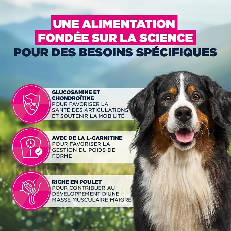 Sensitive Joints Aliment pour Chiens au Poulet - Aliment Sec Special Care pour Chiens aux articulations sensibles, favorisant la mobilité, 2,3 kg