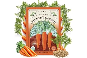Seedboy Organic Carrot Seeds for Planting Indoor and Outdoor, Non-GMO and USDA Certified Vegetable Seed Packet for Hydroponic Garden Indoor or Planting Outdoors (Scarlet Nantes Carrots)