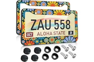 Toykee License Plate Frames 2 Pack for Women Car Plate Holder Cover Cute Daisy Flower Blossom Colorful Metal Tag Frame Stainless Steel Car Front Rear Plate Decor