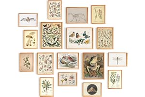 365DoRoTeYa Cottagecore Wall Decor Living Room Art Prints Grunge Fairycore Room Decor Cottagecore Poster Ghosts Aesthetic Room Decor Aesthetic Wall Art Vintage Home Decor Living Room Decor Mushrooms Preppy Stuff Office Decor Bedroom Decor 17 PCS (Unframed)