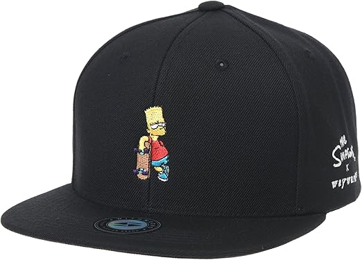 skateboard snapback hats